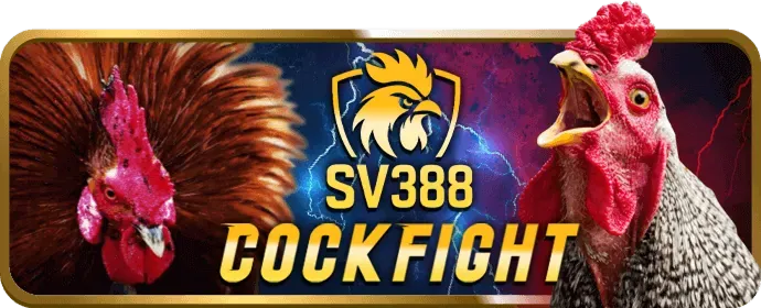Đánh giá 0ke365 nhà cái